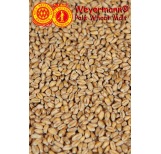 Weyermann® Pale Wheat Malt