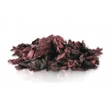 Wildcrafted Dulse