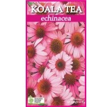 Echinacea Organic Tea